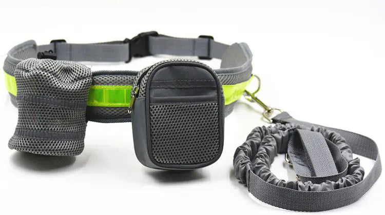 Pet Running Gear Set with Reflective Leash and Cup